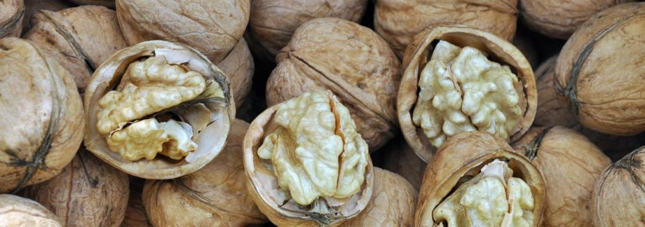 Ceviz kabuğundan güneş pili