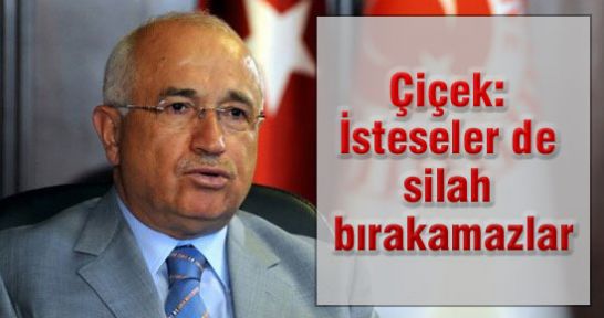 Çiçek: İsteseler de silah bırakamazlar