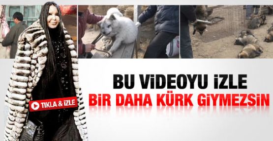 Çin'de hayvanlara uygulanan şiddetin görüntüleri