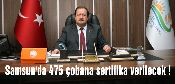 Çobanlık gözde meslek haline geliyor