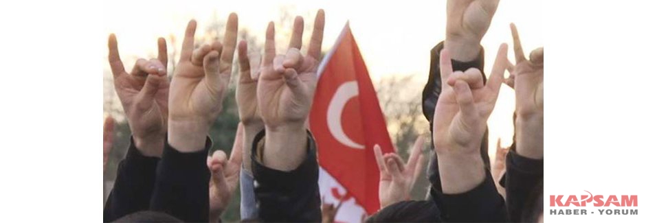 Cumhurbaşkanına bozkurt işareti yaptı tutuklanması istendi
