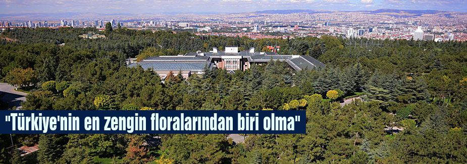 Cumhurbaşkanlığı ağaç zengini