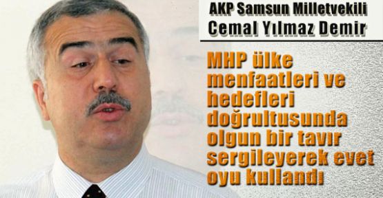 Demir, MHP Ülke Menfaatleri Doğrultusunda Evet Dedi