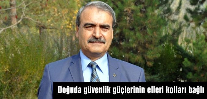 Demirkaya: Doğuda güvenlik güçlerinin elleri kolları bağlı