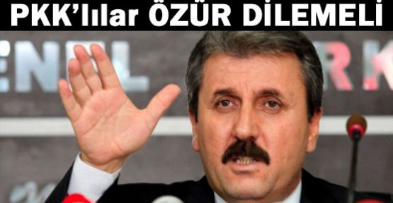 Destici: PKK'lılar Özür Dilemeli