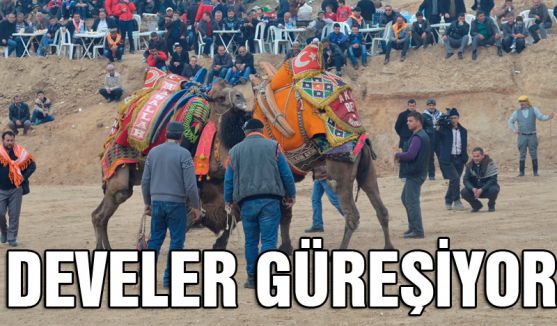 DEVELER GÜREŞİYOR