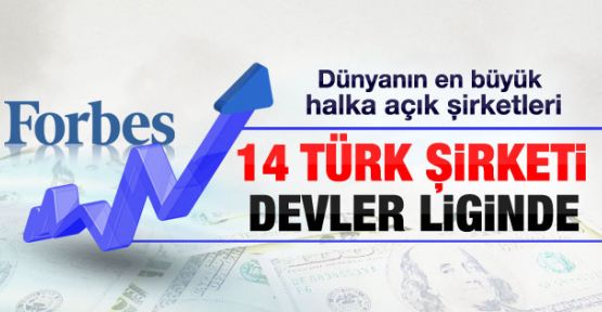 Devler Ligindeki Türk Şirketleri...