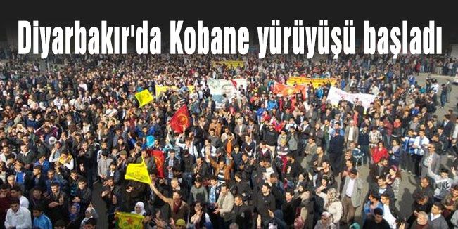 Diyarbakır'da Sözde Protesto yürüyüşü başladı