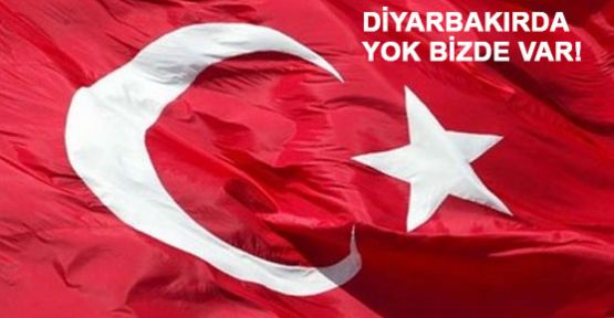 Diyarbakır’da Türk Bayrağı mı Arıyor sunuz?