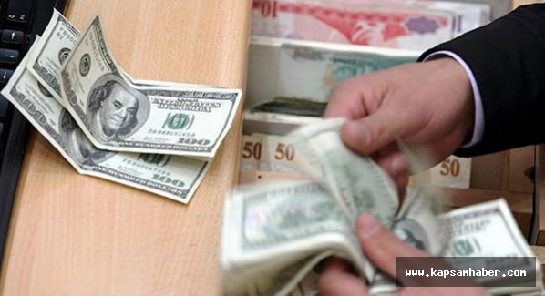 Dolar 3 Liraya dayandı