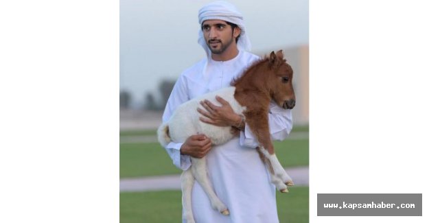 Dubaili Şeyhin Ölümü Herkesi Perişan Etti