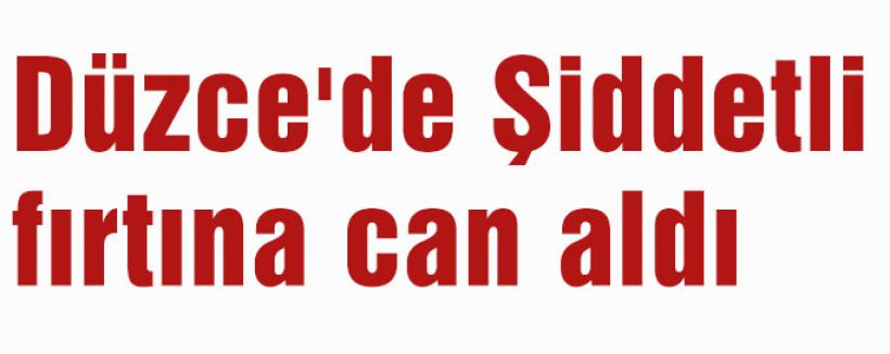 Düzce'de Şiddetli fırtına can aldı