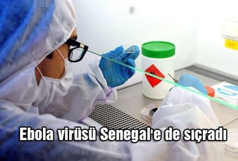 Ebola virüsü Senegal'e de sıçradı