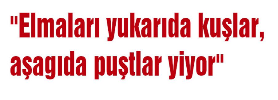 “Elmaları yukarıda kuşlar, aşagıda puştlar yiyor“