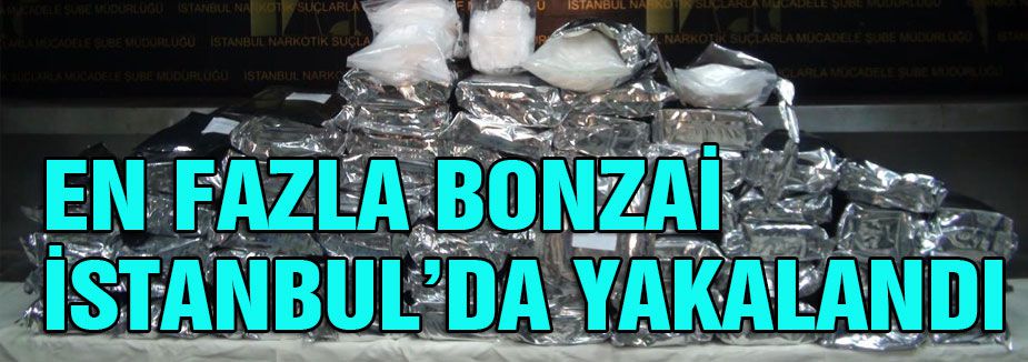 En fazla Bonzai İstanbul'da ele geçirildi