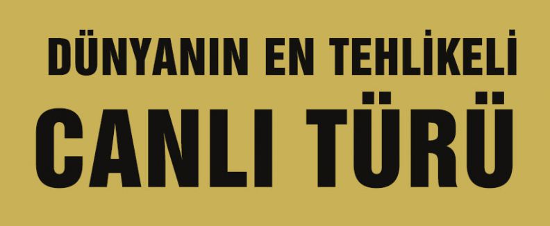 En Tehlikeli 12 Canlı
