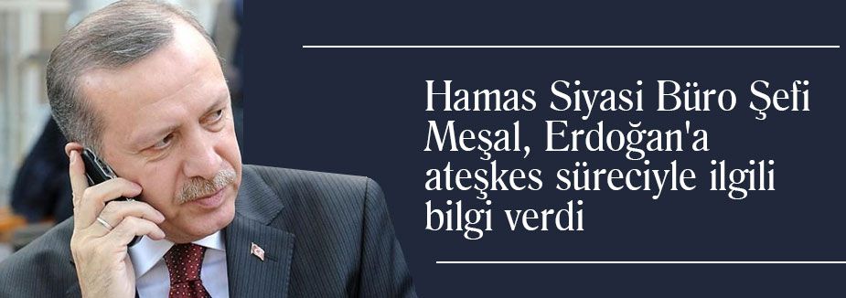 Erdoğan Meşal'le görüştü