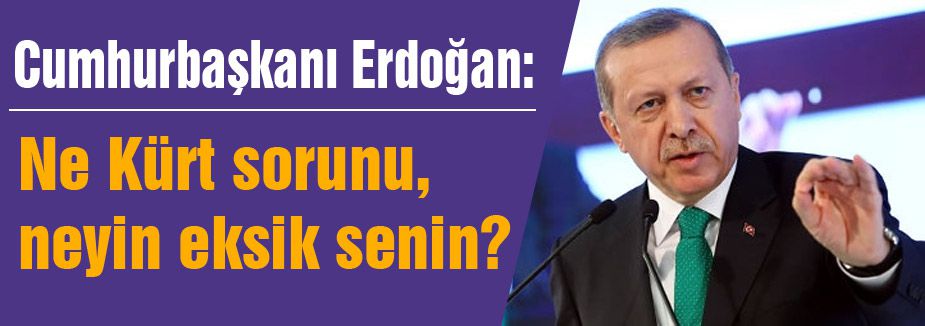 Erdoğan; Ne Kürt sorunu, neyin eksik senin?