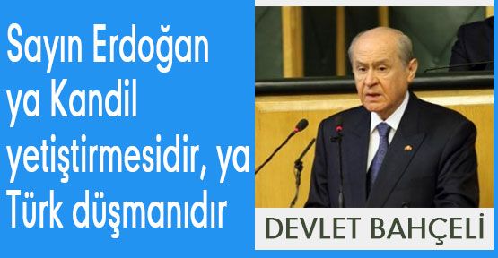 Bahçeli