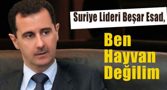 Esad, Ben Hayvan Değilim