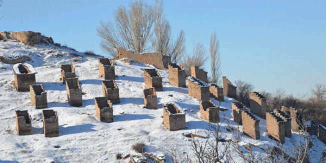 Gesi bağlarındaki 141 güvercinlik koruma altında