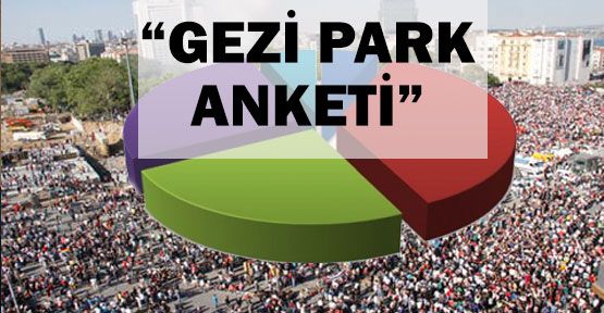 Gezi Park Anketi...