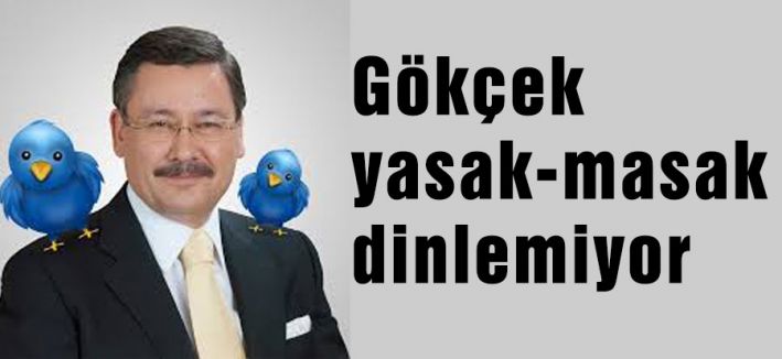 Gökçek yasak-masak dinlemiyor