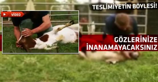 Gözlerinize inanamayacaksınız