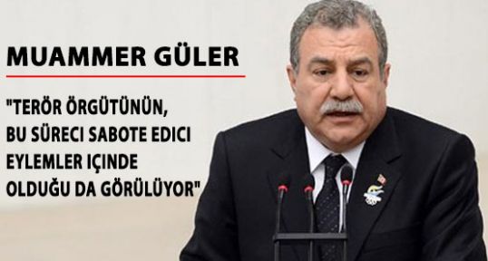 Güler: Örgüt süreci sabote ediyor