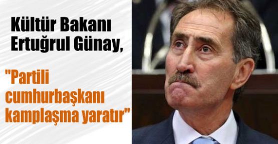 Günay'dan Erdoğan'ı Kızdıracak Sözler