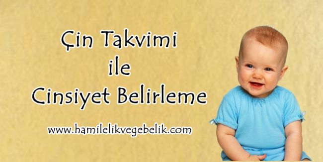 Hamilelikte Çin Takvimi Ne Kadar Güvenilir?