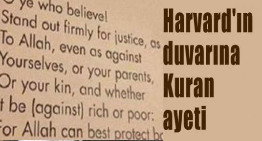 Harvard üniversitesi, duvarına kuran'ı kerim ayeti astı