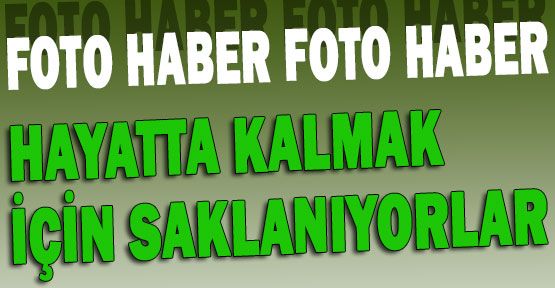 Hayatta Kalmak için Saklanıyorlar...