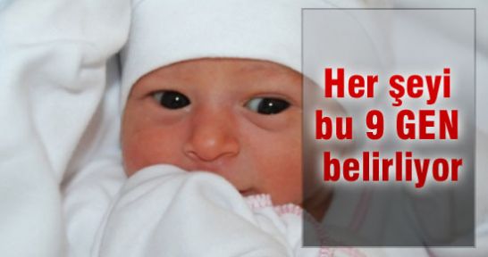 Her şeyi bu 9 gen belirliyor