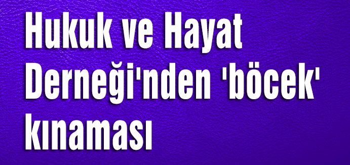 Hukuk ve Hayat Derneği'nden 'böcek' kınaması