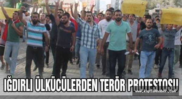 Iğdırlı ülkücülerden terör protestosu