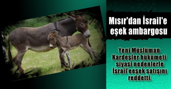 İsrail'e eşek ambargosu