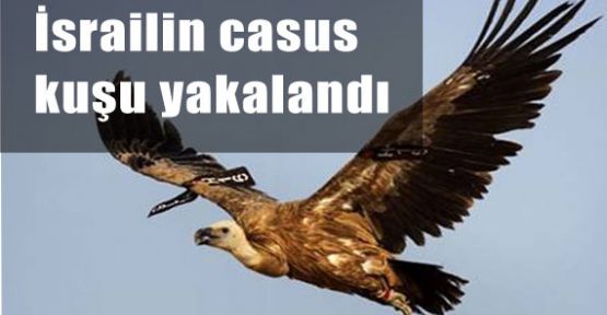 İsrail'in Casus Kuş'u