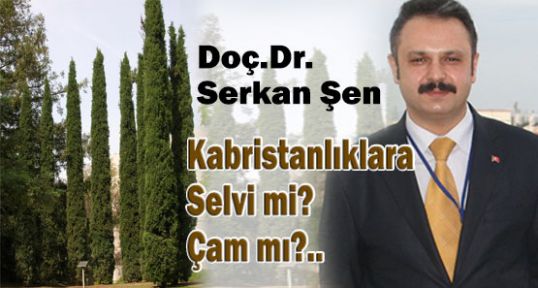 Kabristanlıklara Selvi mi, Çam mı?