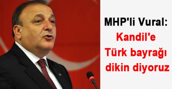 Kandil'e Türk bayrağı dikin!