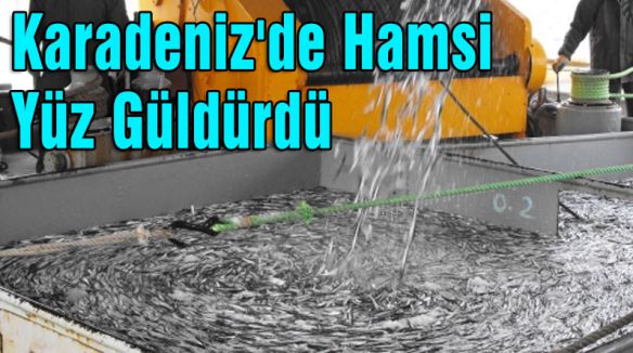 Karadeniz'de Hamsi Yüz Güldürdü