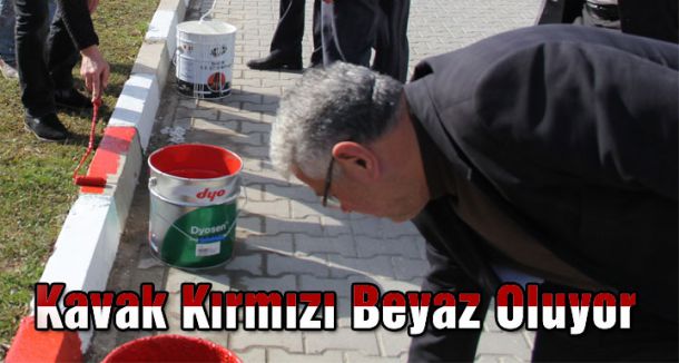 Kavak Kırmızı Beyaz Oluyor