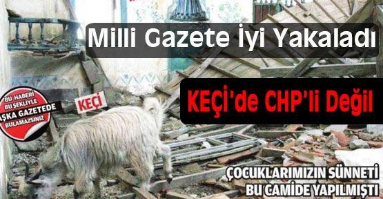 Keçilerde CHP'li Değil