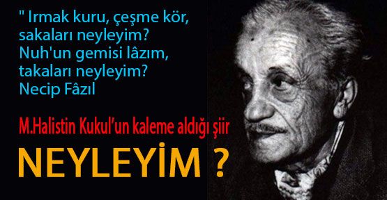 Kıralı, şövalyeyi, dükaları NEYLEYİM?