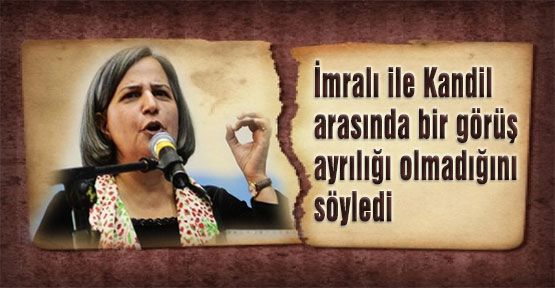 Kışanak: Ateşkes bir fırsattı