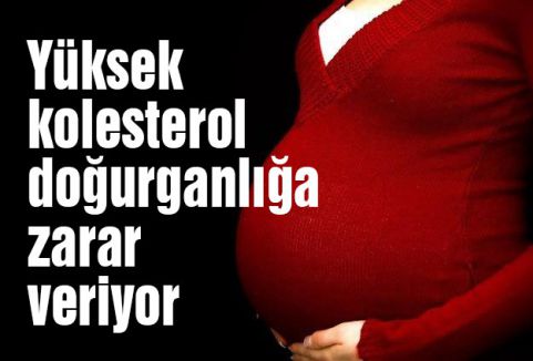 Kolesterol gebeliğide geciktiriyor