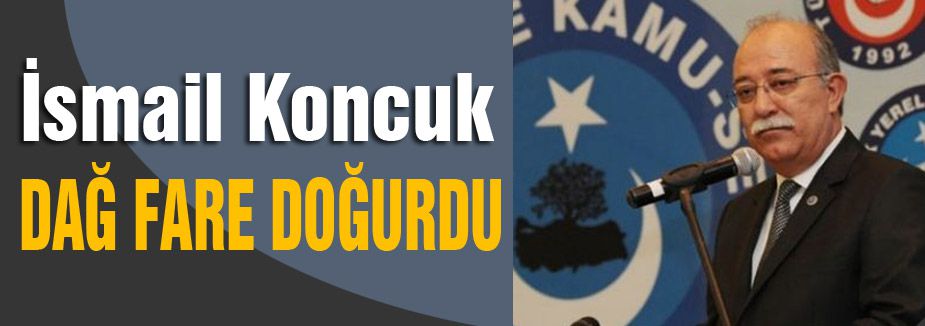 KONCUK; DAĞ FARE DOĞURDU