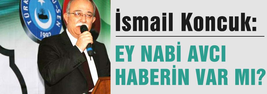 Koncuk; “EY NABİ AVCI HABERİN VAR MI?“