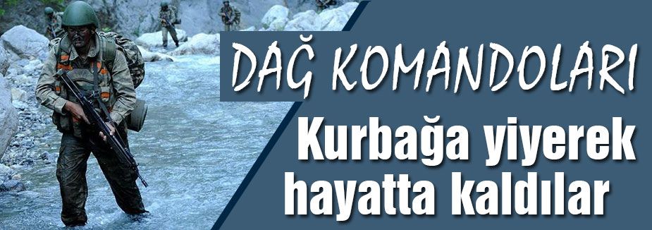 Kurbağa yediler karşılığında hayat buldular