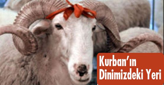 Kurban’ın Dinimizdeki Yeri